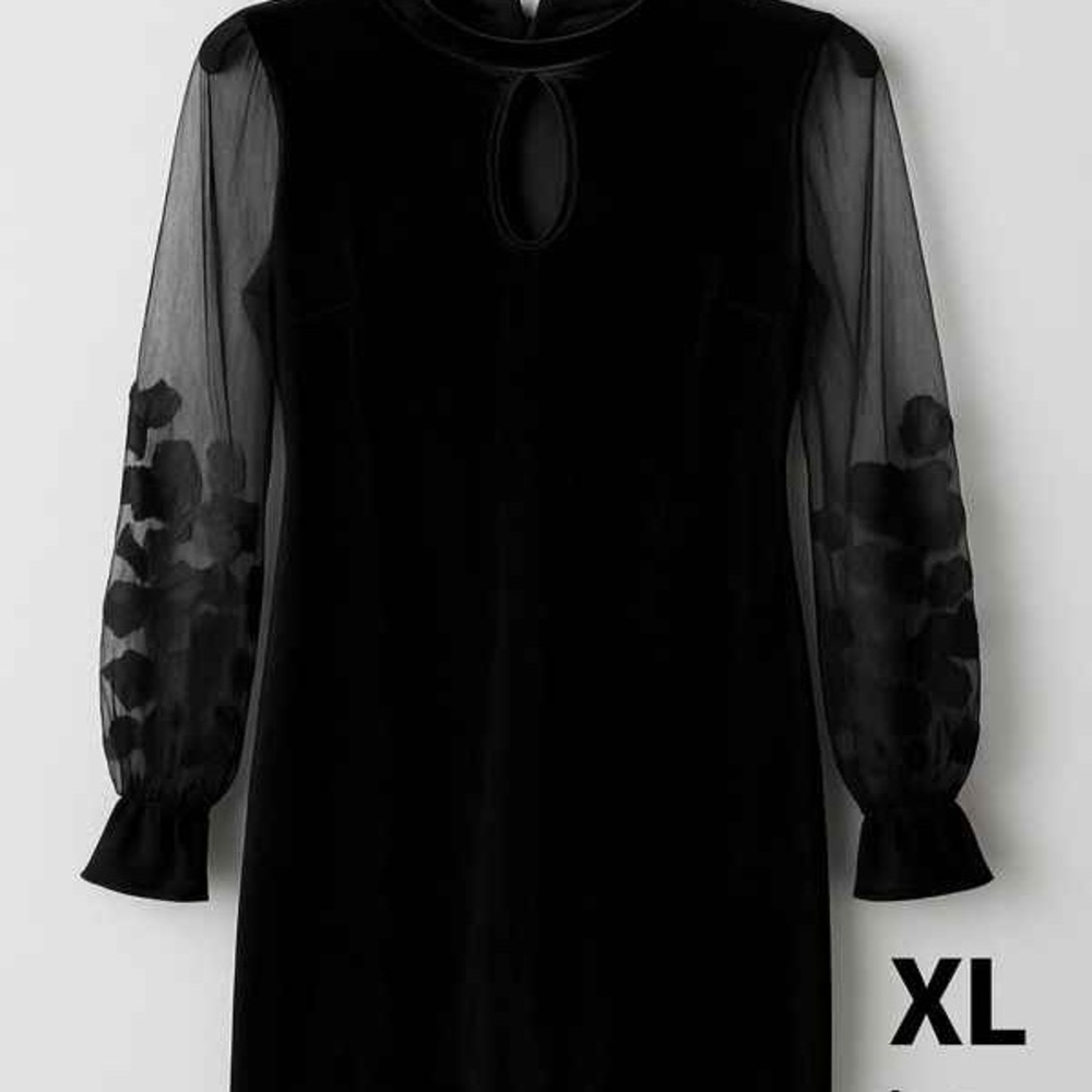 Elegant Black Sheer Sleeve Dress